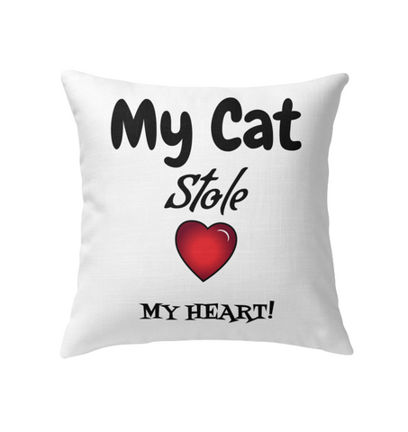 Pillow Cat stole my heart