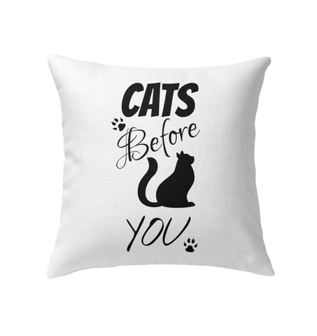 Pillow Cats before you