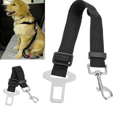 Dog car Seatbelt Leash--FREE SHIPPING--
