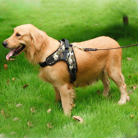 Adjustable Dog Harness for Small Medium Large Dogs Animals--FREE SHIPPING--